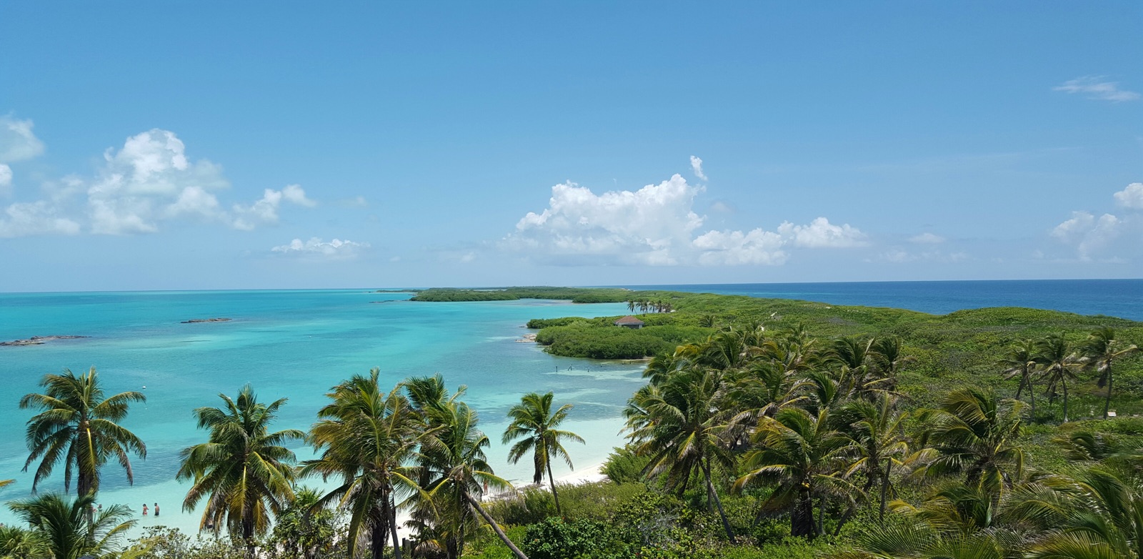 Vista desde el mirador de Isla Contoy sobre la laguna y el mar turquesa, frente a Cancún