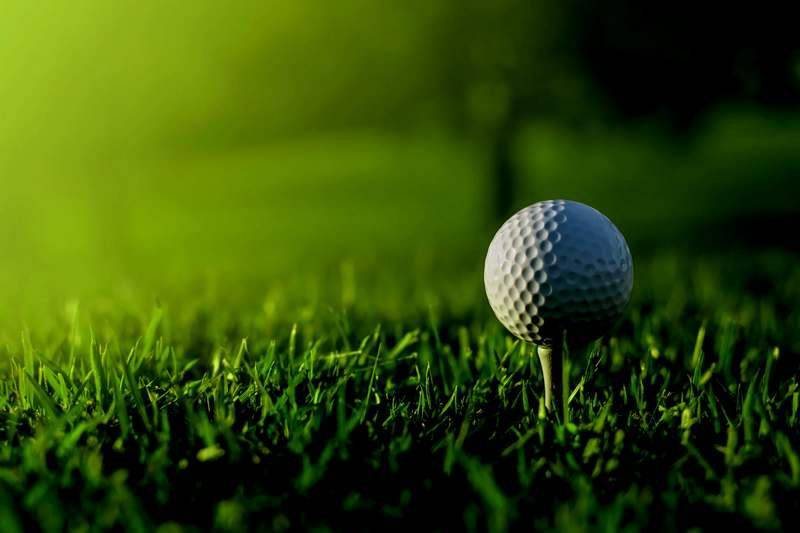 Pelota de golf sobre el tee en el pasto